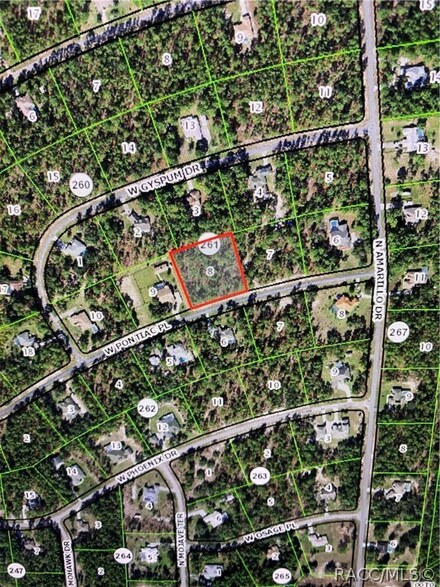 4703 W Pontiac Place, Pine Ridge, FL 34465