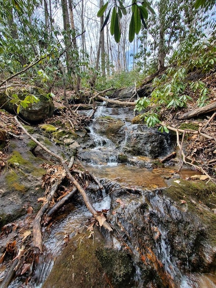 0 Shady Grove Rd, Tuckasegee, NC 28783