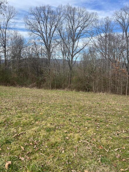 425 Reynolds Rd, South Pittsburg, TN 37380