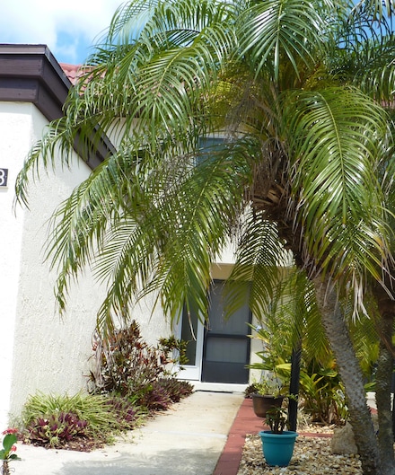 8718 Bay Ct, Cape Canaveral, FL 32920