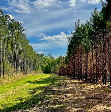 0 Rawls Rd, Cairo, GA 39828