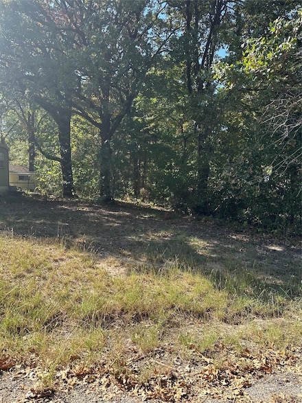 TBD Northview Dr, Wills Point, TX 75169