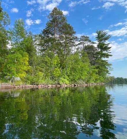 TBD Pincherry Ln NE, Turtle River Township, MN 56601