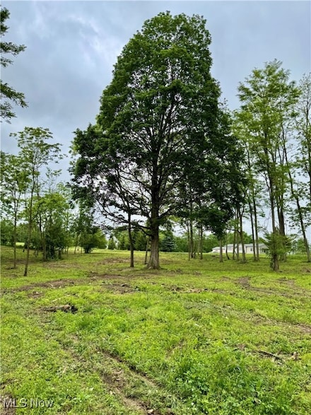 10100 Honda Hills Rd, Thornville, OH 43076