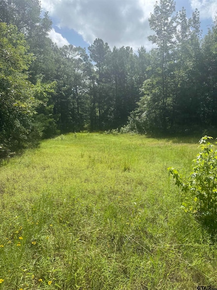TBD County Road 2126, Rusk, TX 75785
