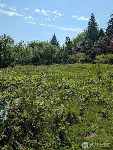 2393 NE Trail Way, Poulsbo, WA 98370