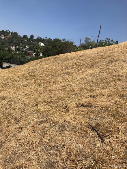 0 Thorpe Ave Unit CV25128761, Los Angeles, CA 90065