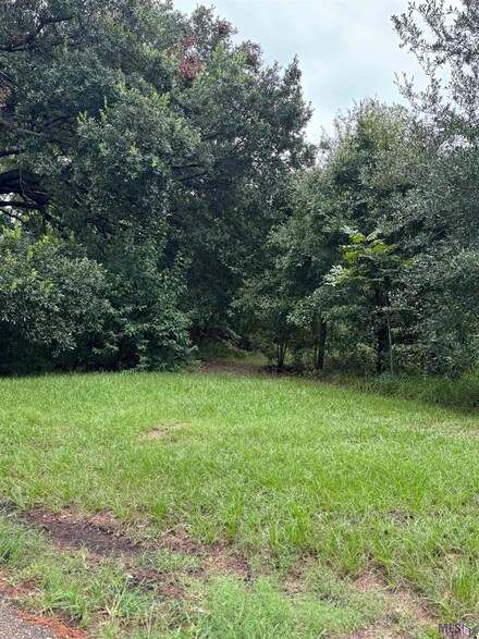 LOT C Oklahoma St, Baton Rouge, LA 70802