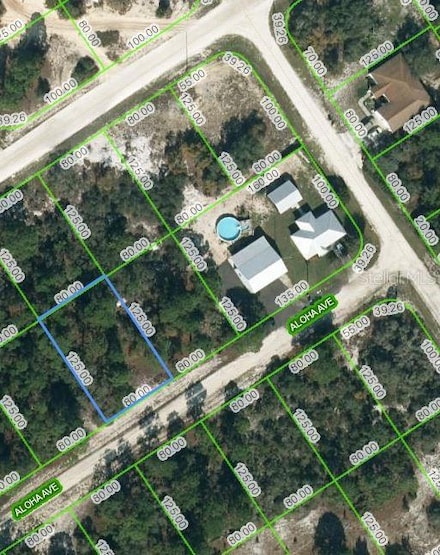 452 Aloha Ave, Lake Placid, FL 33852
