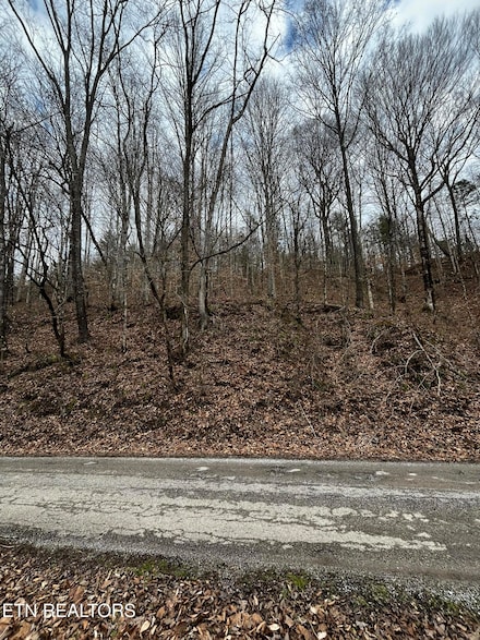 0 Paint Rock Creek, Oneida, TN 37841