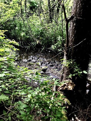 Lot 9 Boulder Creek Rd Unit 9, New Meadows, ID 83654