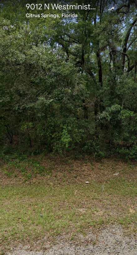 9012 N Westminister Ave, Citrus Springs, FL 34434