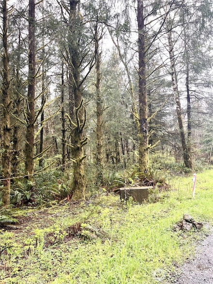 300 Luttrel Ln, Ilwaco, WA 98624