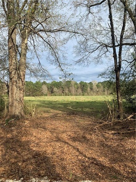24212 Gary Lee Lane Ln, Loranger, LA 70446