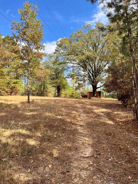 13292 S Highway 51 Hwy, Okolona, AR 71923