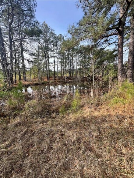 00000 Highway 165 None, Pollock, LA 71467