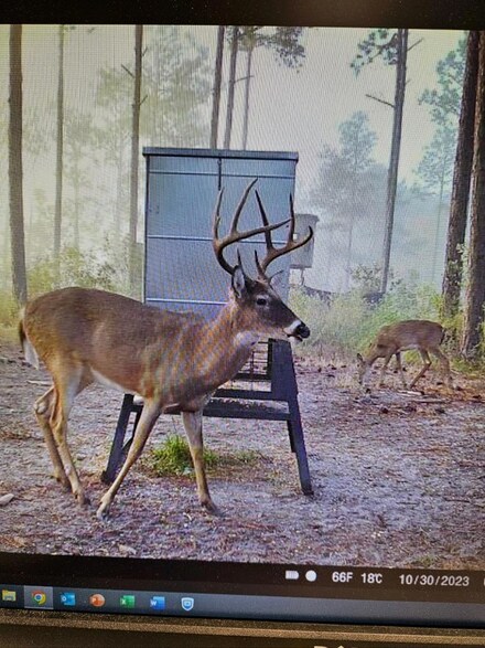 0 Old Mail Rd, Sylvester, GA 31791
