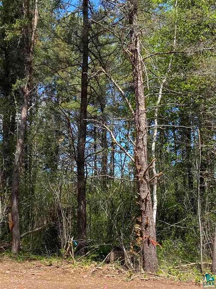 Lot 9, Block 2 Hartley Hills Ln, Duluth, MN 55803