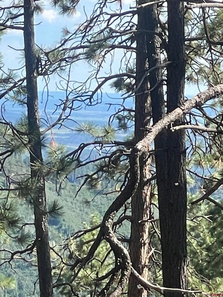 176 Big Timber Dr, Bayfield, CO 81122