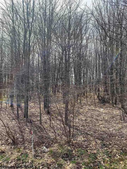 TBD Schuchert Ln, Markleysburg, PA 15459