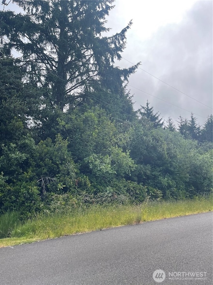 364 Sextans Ave SW, Ocean Shores, WA 98569
