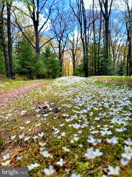 614 Graystones Jeras Rd Lot H-11, Albrightsville, PA 18210