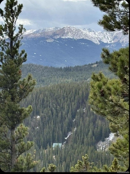 491 Hilltop, Idaho Springs, CO 80452