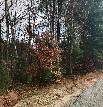 0 Scribner Hill Rd, Otisfield, ME 04270