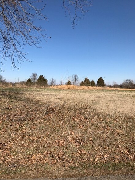 0 Duncan Trail, Dexter, KY 42036