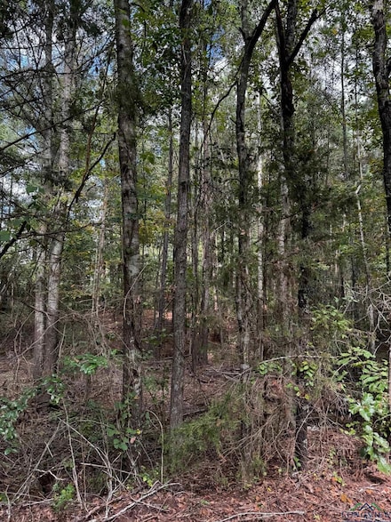 TBD Cr 115d, Overton, TX 75684