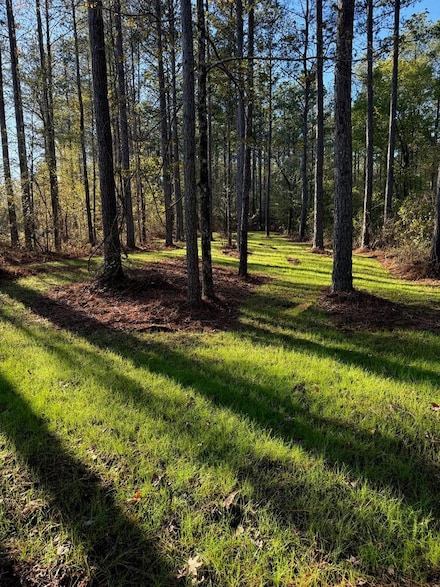 0 County Road 827, Blue Mountain, MS 38610