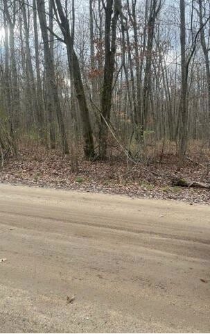 Lot 3 Pakes Rd, Stanton, MI 48888