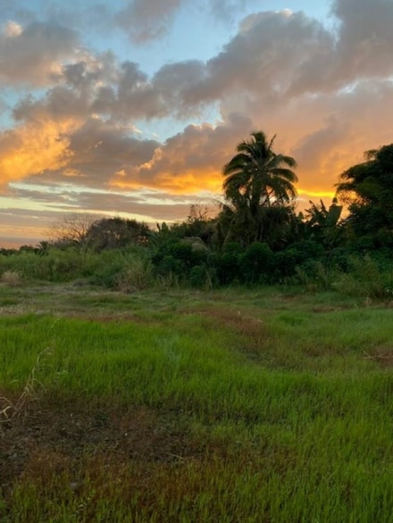 1580 Lower Nahiku Rd, Hana, HI 96713