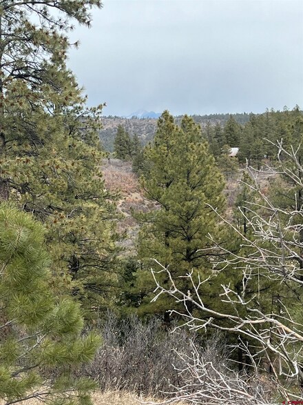 176 Pineridge Trail, Pagosa Springs, CO 81147