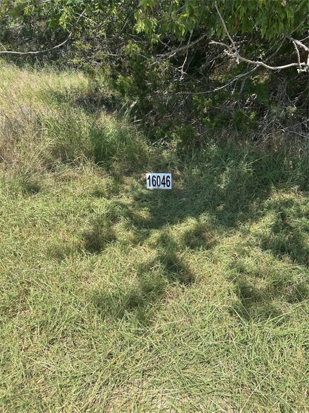 16046 Faircrest Dr, Whitney, TX 76692