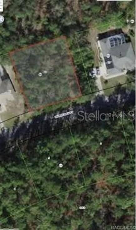 38 Fringetree St, Sugarmill Woods, FL 34446