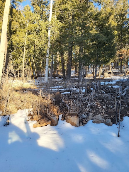 702-704 Shells Ln Unit 7B,8B, Cloudcroft, NM 88317