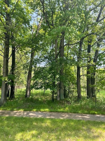 V/L Cook St, Montague, MI 49437