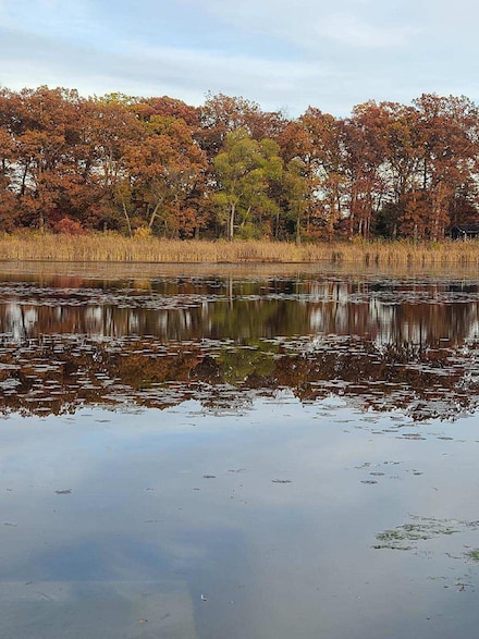 0 Us 12 W, Buchanan, MI 49107