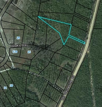 Lot 16 Old Waynesville Rd, Hortense, GA 31566