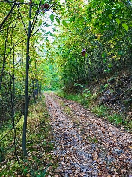 500 Jones Hollow Rd, Tarentum, PA 15084