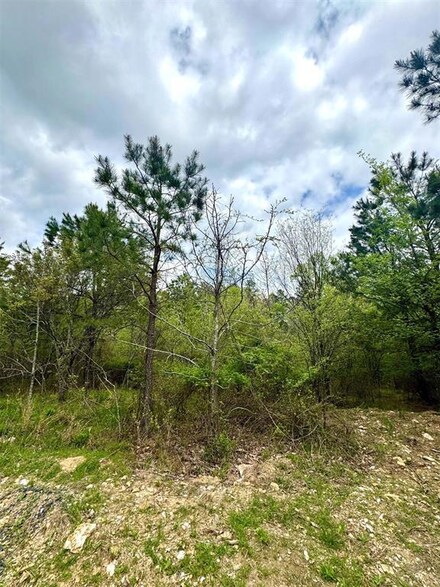 134 Turning Wood Ct, Hochatown, OK 74728