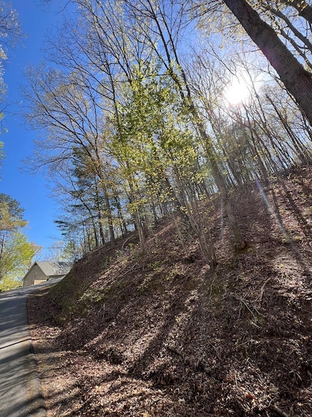 Lot 2 Lonesome Pine Rd, Murphy, NC 28906
