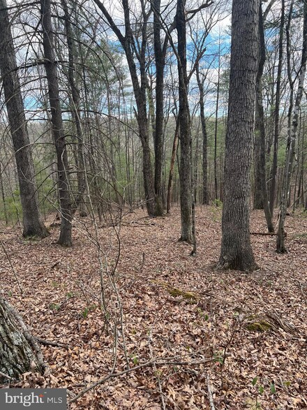 0 Beech Lot, Mount Jackson, VA 22842