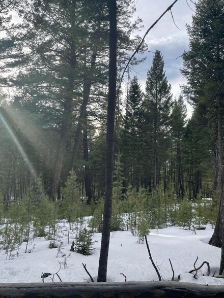 Lot 81 Lake View Ln, Anaconda, MT 59711