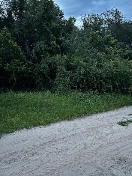 0 SE 135 Ln Unit MFRA4672206, Umatilla, FL 32784