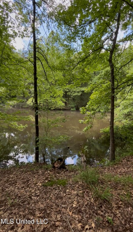 5143 U S 51, Hernando, MS 38632