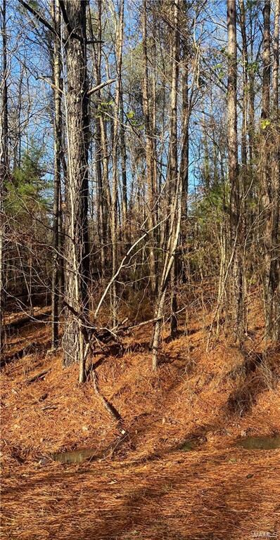3 Jackson Trace Rd, Coker, AL 35452