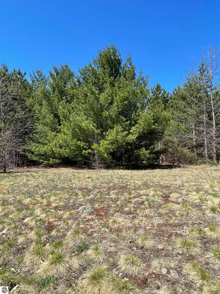 6465 Jeffrey Place Unit Lot 25, Grawn, MI 49637