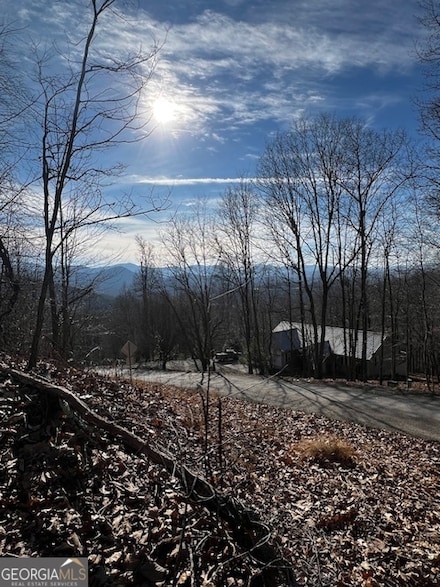 LOT 54 Sunny View Dr, Blairsville, GA 30512